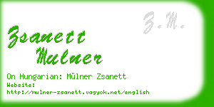zsanett mulner business card