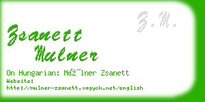 zsanett mulner business card